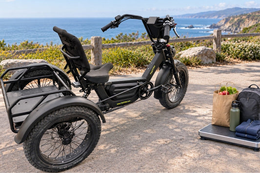The FlekTrike Pro All-Terrain Tilting eTrike stands beside weighed everyday cargo at a coastal overlook, illustrating the electric trike weight limit for rider and cargo combined.