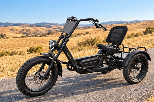 FlekTrike Pro All-Terrain Tilting eTrike displayed on a gentle hill road for an electric trike motor power guide.