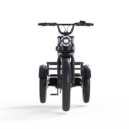 Front view of freego flektrike swing on a transparent background