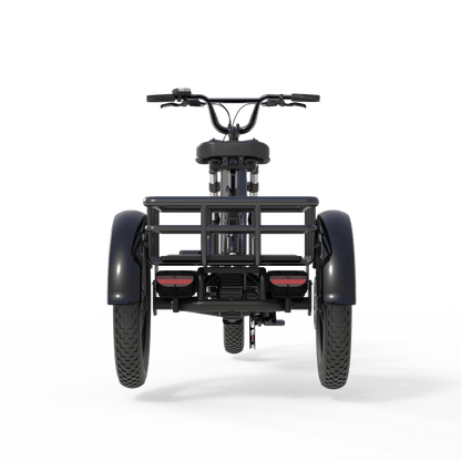 Rear view of freego flektrike swing on a transparent background
