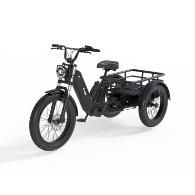 FlekTrike Swing – Dynamic-Tilt Electric Trike