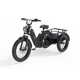 FlekTrike Swing – Dynamic-Tilt Electric Trike