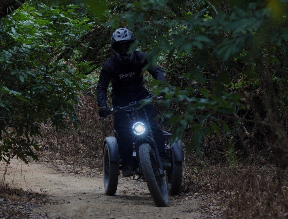 Person riding a flektrike swing through a forest.