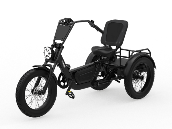 FlekTrike Pro product cover image