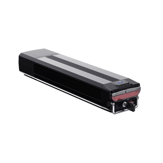 FlekTrike battery