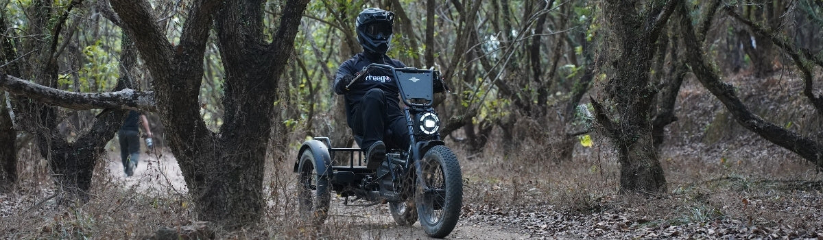 Person riding a flektrike pro through a forested area