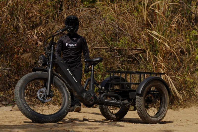 Person standing next to a flektrike swing in a natural setting