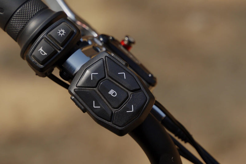Close-up of a flektrike swing handlebar with control buttons on a blurred background
