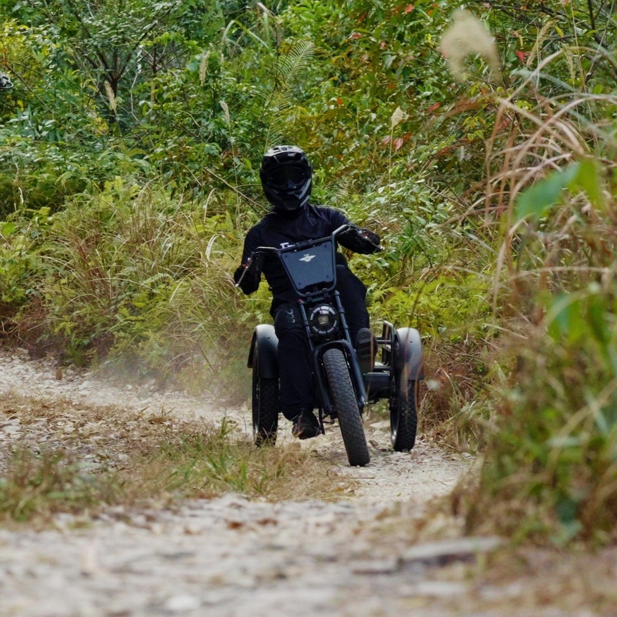 Person riding a freego flextrike pro on a dirt path in a forest