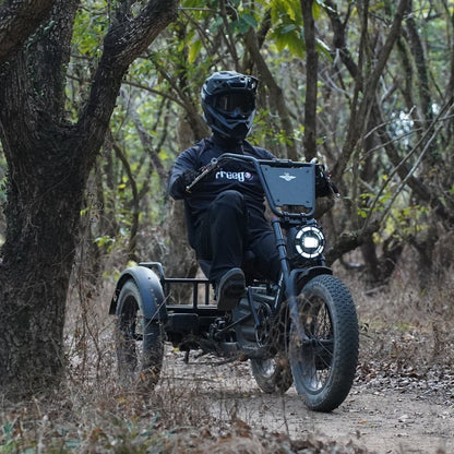 Person riding a freego flextrike pro in a forest setting