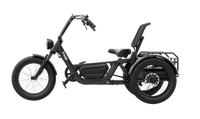 FlekTrike Pro All-Terrain Tilting eTrike with backrest shown in side profile on white background, featuring fat tires, front headlight, step-through frame, upright seat with backrest, and rear cargo rack. 