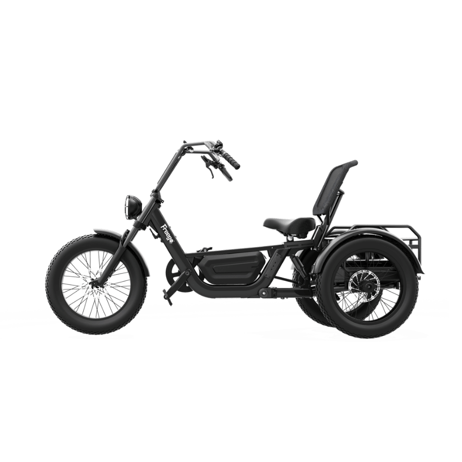 FlekTrike Pro