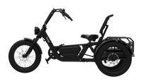 Black electric tricycle flektrike pro on a white background