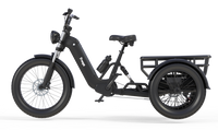 Black electric tricycle flektrike swing on a white background