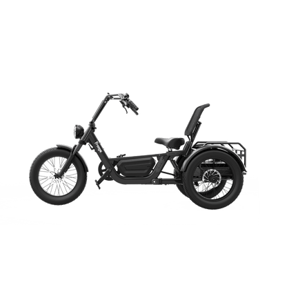 FlekTrike Pro All-Terrain Tilting eTrike with backrest in direct side profile on white background, showing the frame, tires, integrated battery, upright seat with backrest, pedals, and rear rack.