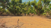 FlekTrike Pro Promo video for desktop